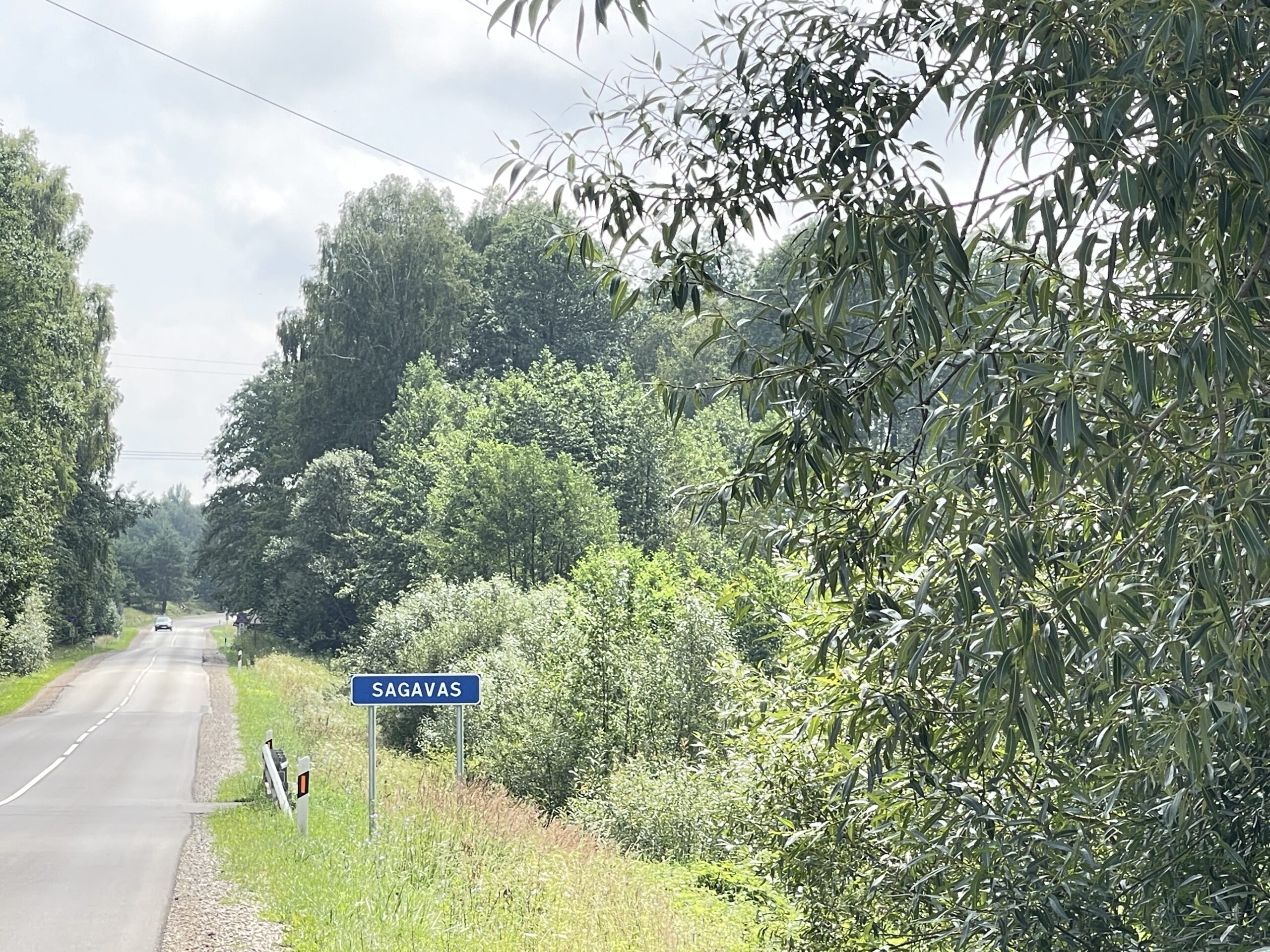 Parduodamas 0,73 ha miško ūkio paskirties sklypas Lazdijų r., Baraučiškės k., išskirtinėje vietoje prie Seirijo ežero 5 Parduodamas 0,73 ha miško ūkio paskirties sklypas Lazdijų r., Baraučiškės k., išskirtinėje vietoje prie Seirijo ežero - Image 5