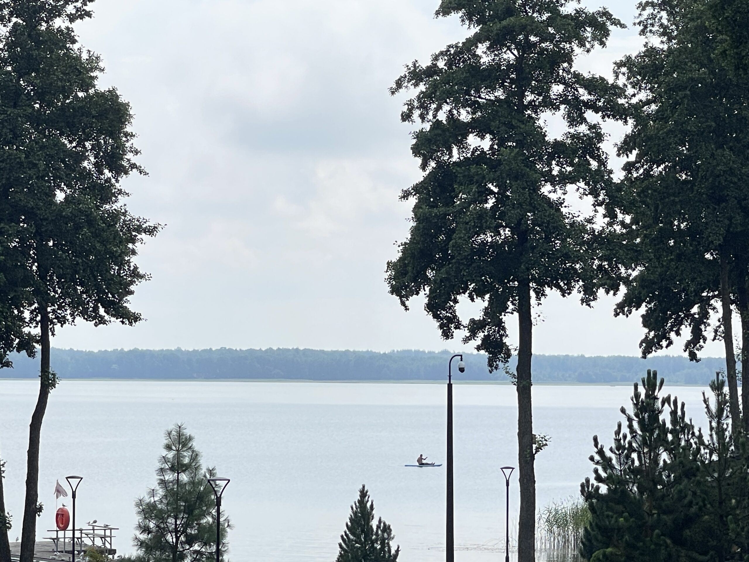 Parduodamas 0,73 ha miško ūkio paskirties sklypas Lazdijų r., Baraučiškės k., išskirtinėje vietoje prie Seirijo ežero 1 Parduodamas 0,73 ha miško ūkio paskirties sklypas Lazdijų r., Baraučiškės k., išskirtinėje vietoje prie Seirijo ežero