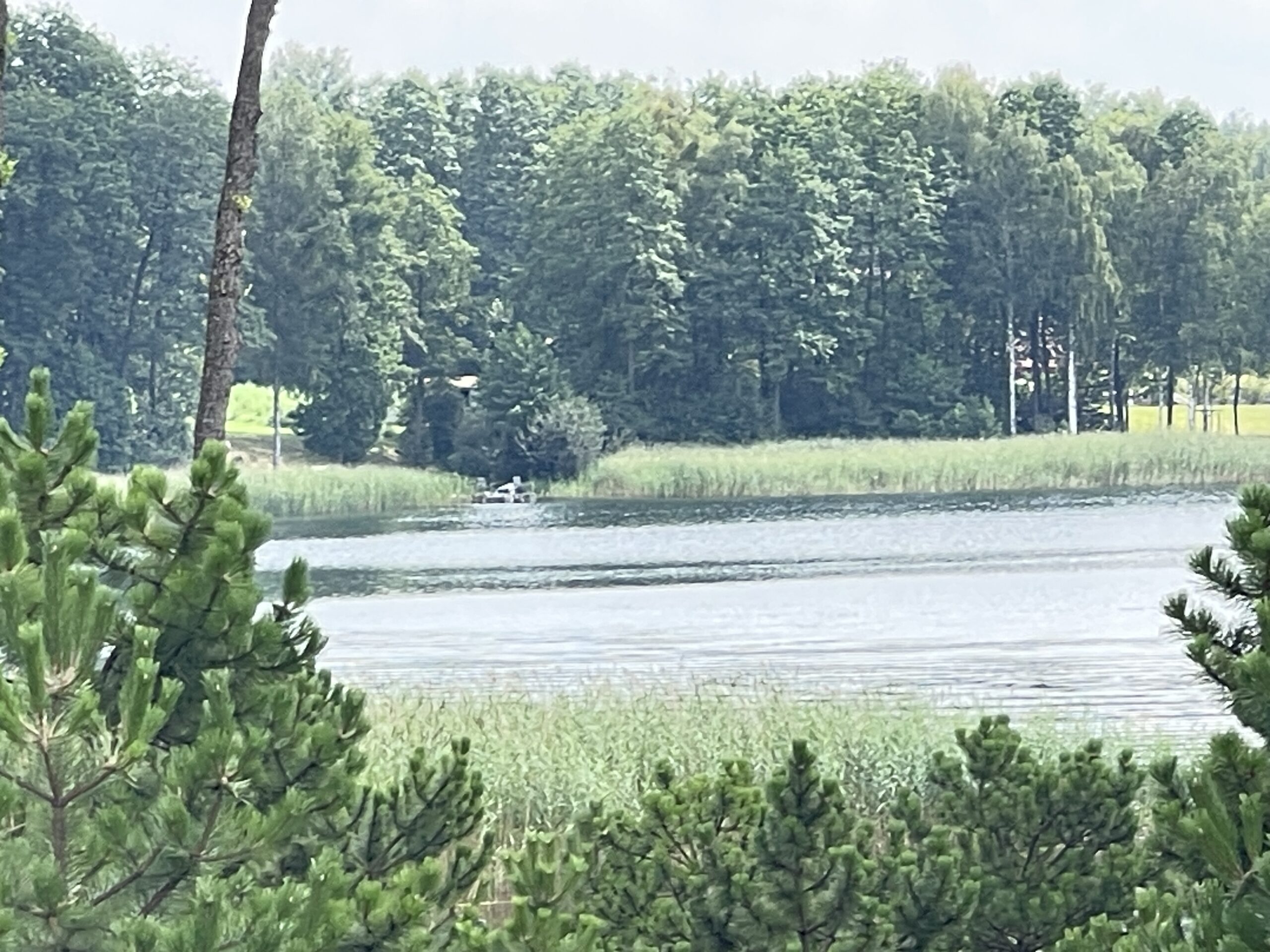 Parduodamas 0,73 ha miško ūkio paskirties sklypas Lazdijų r., Baraučiškės k., išskirtinėje vietoje prie Seirijo ežero 13 Parduodamas 0,73 ha miško ūkio paskirties sklypas Lazdijų r., Baraučiškės k., išskirtinėje vietoje prie Seirijo ežero - Image 13