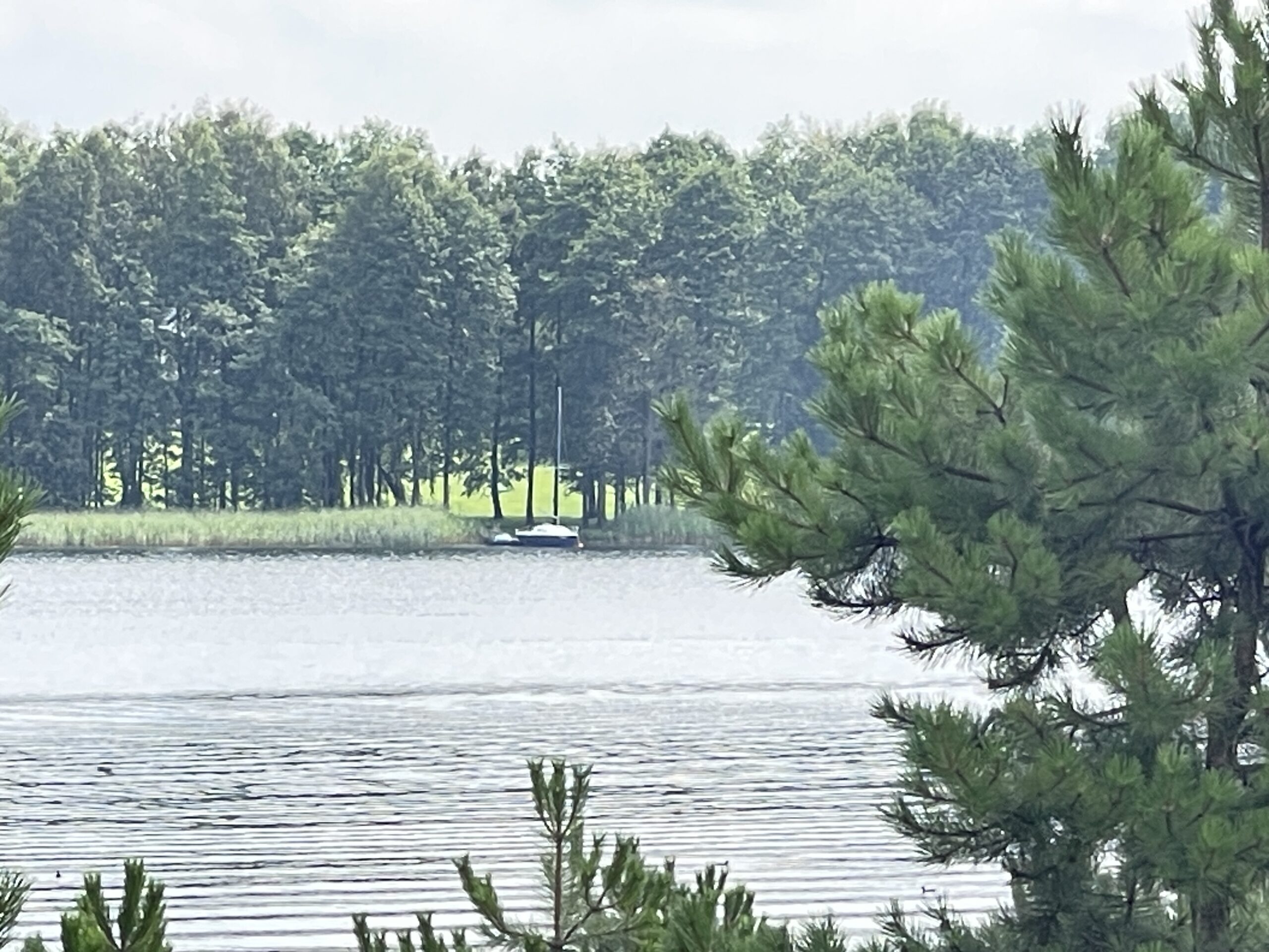 Parduodamas 0,73 ha miško ūkio paskirties sklypas Lazdijų r., Baraučiškės k., išskirtinėje vietoje prie Seirijo ežero 14 Parduodamas 0,73 ha miško ūkio paskirties sklypas Lazdijų r., Baraučiškės k., išskirtinėje vietoje prie Seirijo ežero - Image 14