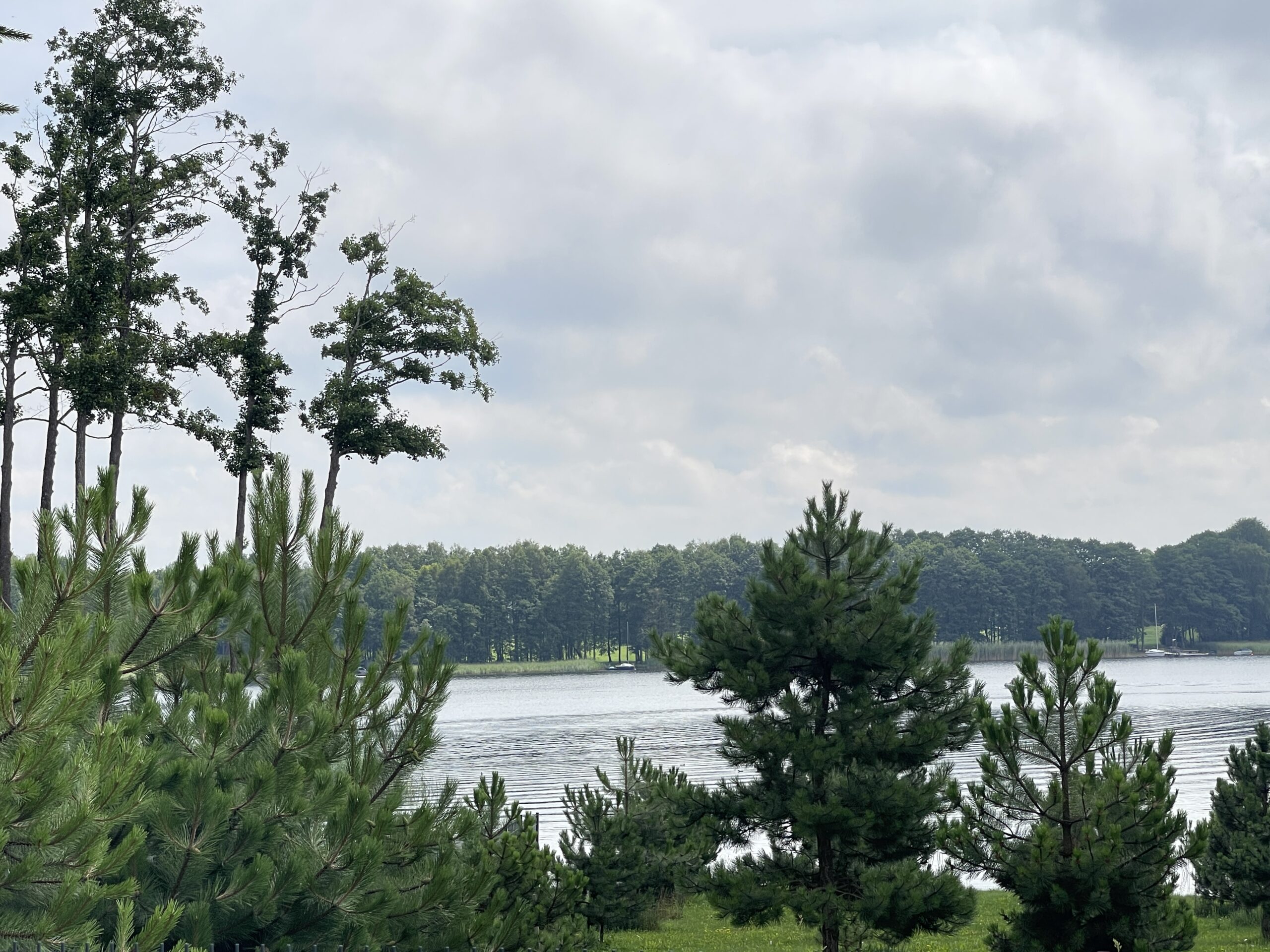 Parduodamas 0,73 ha miško ūkio paskirties sklypas Lazdijų r., Baraučiškės k., išskirtinėje vietoje prie Seirijo ežero 15 Parduodamas 0,73 ha miško ūkio paskirties sklypas Lazdijų r., Baraučiškės k., išskirtinėje vietoje prie Seirijo ežero - Image 15