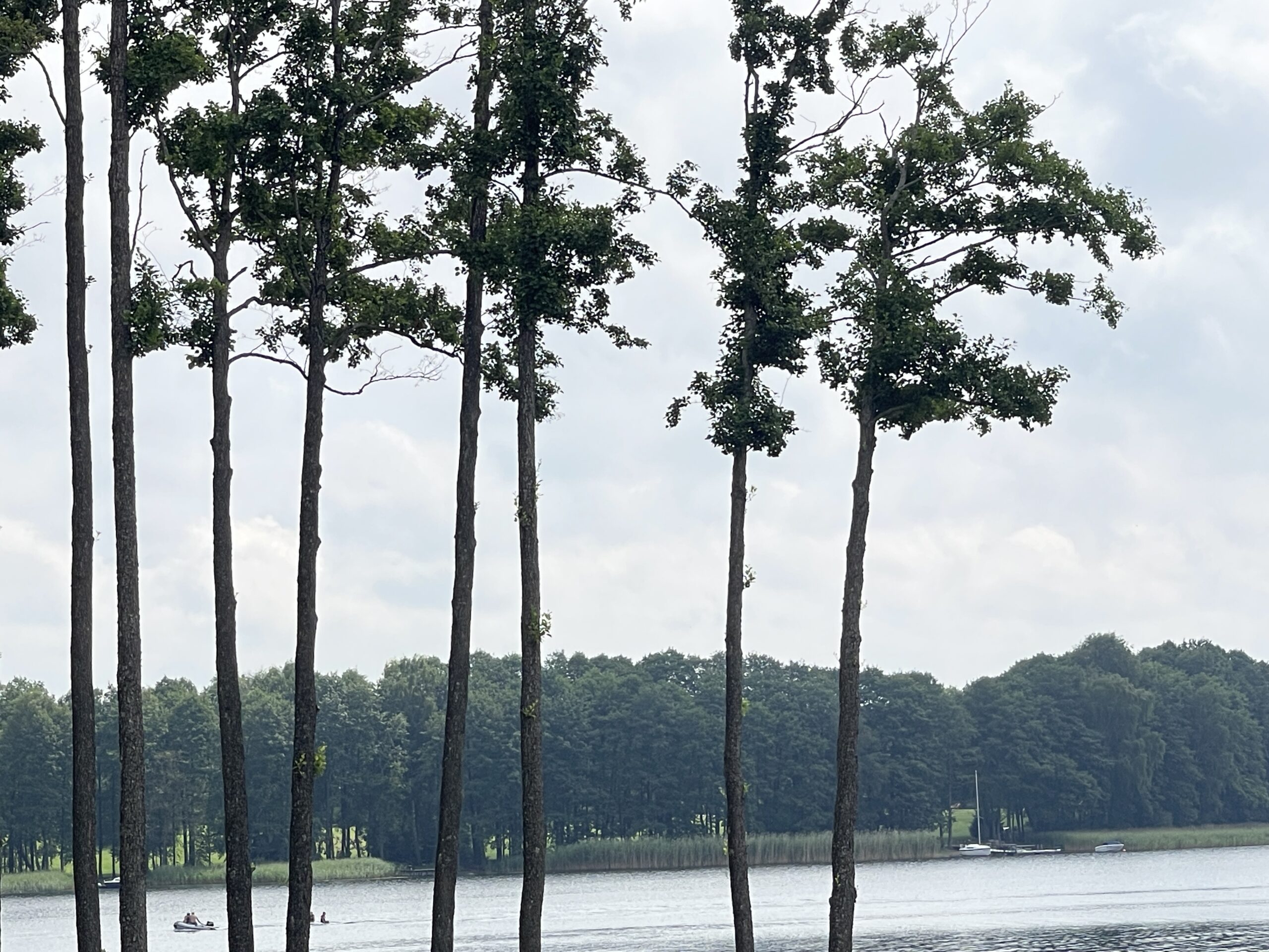 Parduodamas 0,73 ha miško ūkio paskirties sklypas Lazdijų r., Baraučiškės k., išskirtinėje vietoje prie Seirijo ežero 16 Parduodamas 0,73 ha miško ūkio paskirties sklypas Lazdijų r., Baraučiškės k., išskirtinėje vietoje prie Seirijo ežero - Image 16